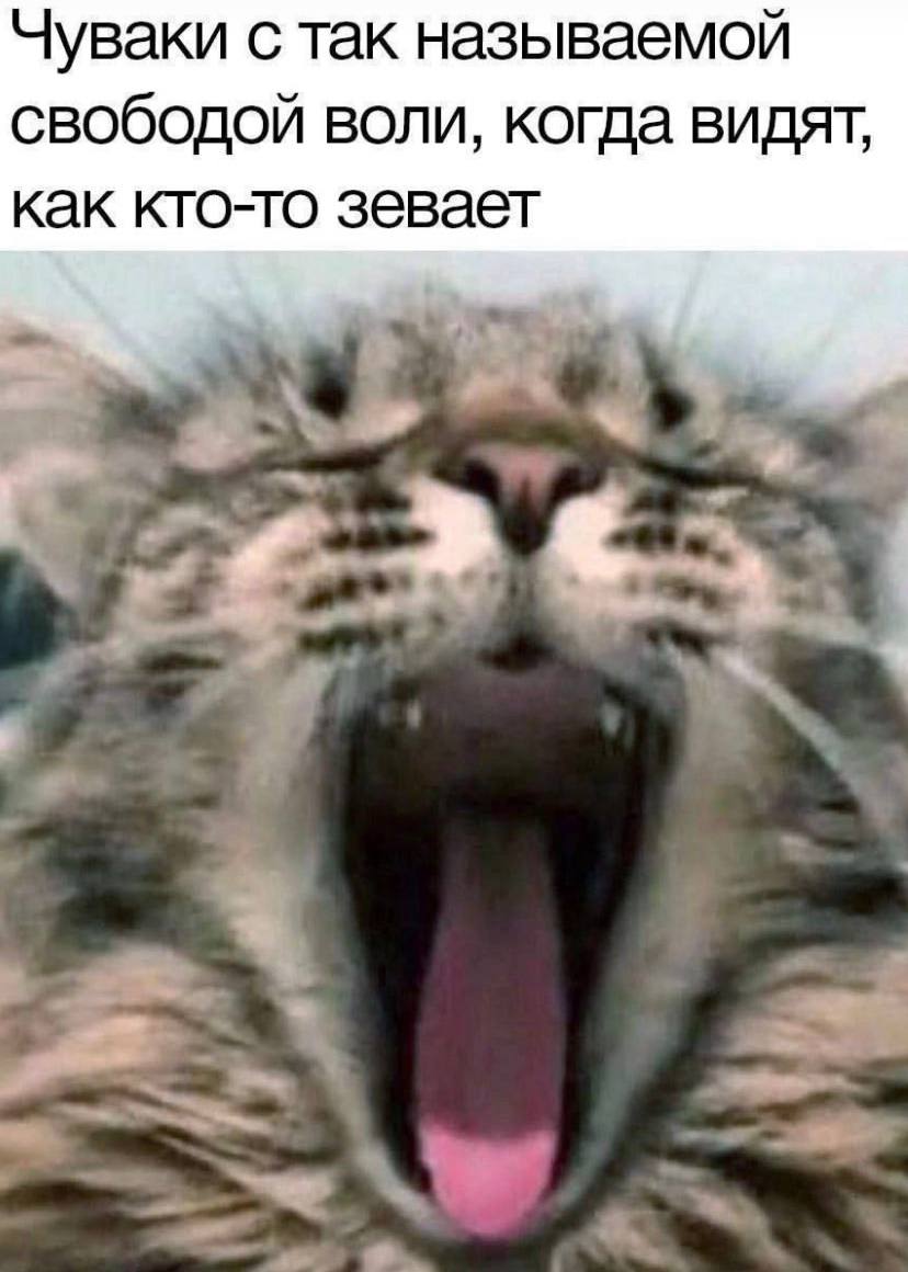 Чуваки с так называемой свободой воли, когда видят, как кто-то зевает