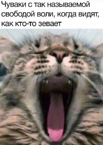 Чуваки с так называемой свободой воли, когда видят, как кто-то зевает