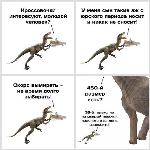 У меня сын такие с Кроссовочки интересуют, молодой юрского периода носит человек? и никак не сносит! Скоро вымирать не время долго размер выбирать! есть? только, но на мокрый носочек наденете и за ден