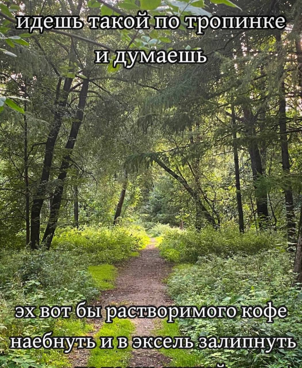 `пдешьтакой по тропинке, ‘думаешь вот ‘бы кофе эксель залипнуть