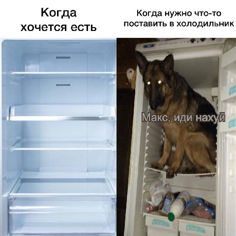 Когда Когда нужно что-то хочется есть поставить в холодильник Макс, иди нахуй A