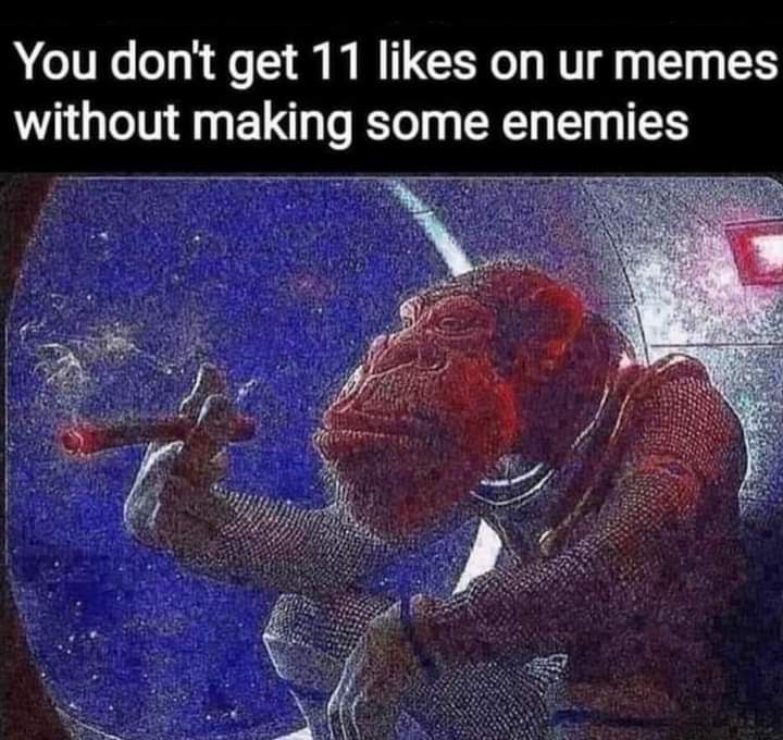 You доп“ get 11 likes on memes without making some enemies