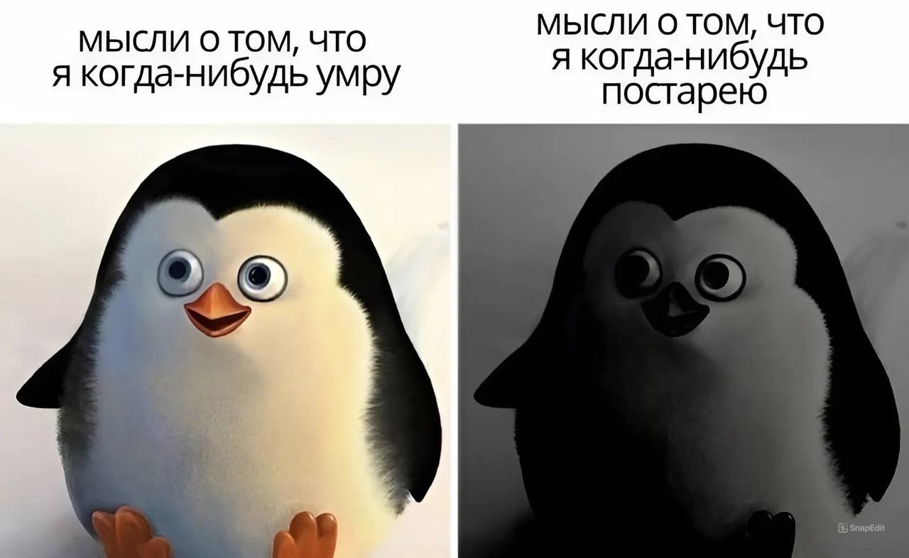 МЫСЛИ О ТОМ, ЧТО МЫСЛИ О ТОМ, ЧТО я когда-нибудь умру я когда-нибудь постарею 4