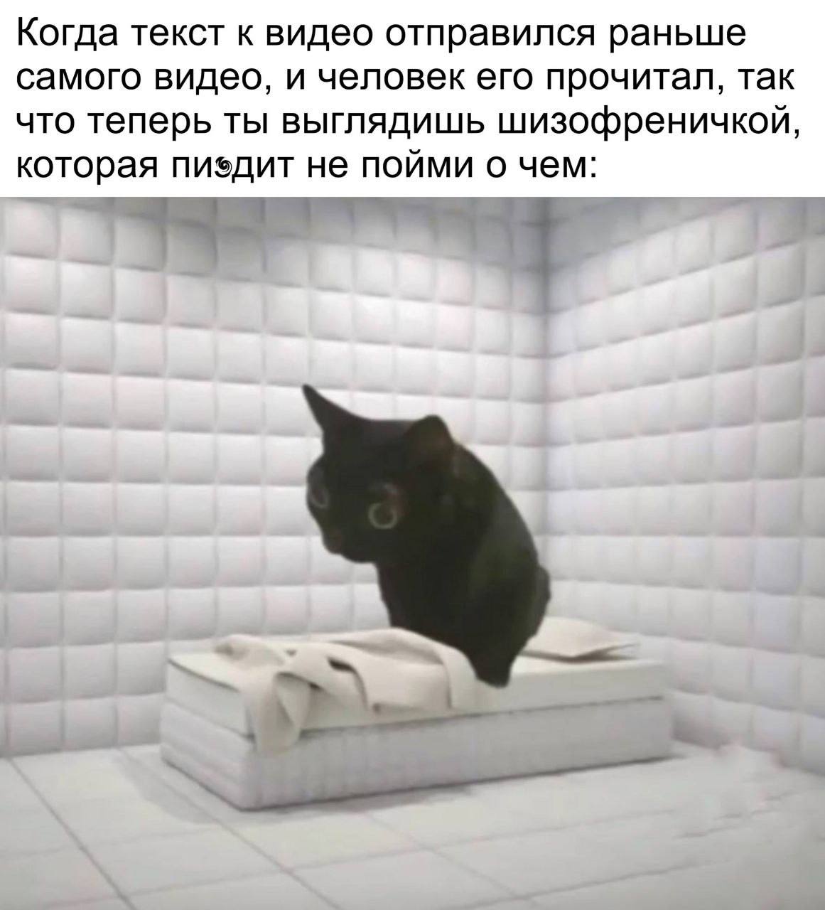 Когда текст к видео отправился раньше самого видео, и человек его прочитал, так что теперь ты выглядишь шизофреничкой, которая пиздит не пойми о чем: 4