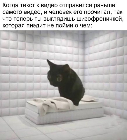 Когда текст к видео отправился раньше самого видео, и человек его прочитал, так что теперь ты выглядишь шизофреничкой, которая пиздит не пойми о чем: 4
