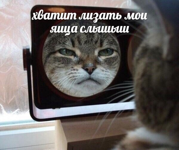 хватит лизать мои