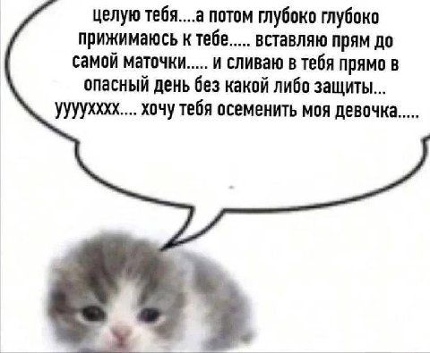 целую тебя....а потом глубоко глубоко прижимаюсь к тебе..... вставляю прям до самой маточки..... и сливаю в тебя прямо в опасный день без какой либо защиты... уууухххх.... хочу тебя осеменить моя дево