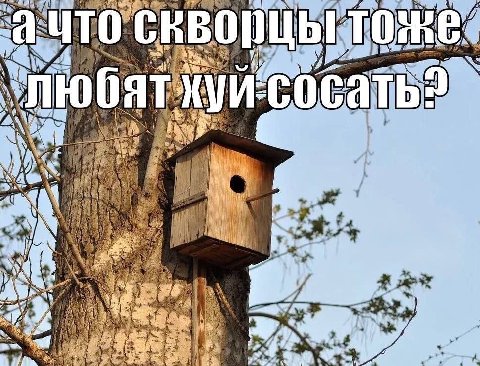 4 че a i К 1 I 57 als ITO я 4 aT 9 2 A 25 i) А 4 18 A Be, 4 wien Saw owe