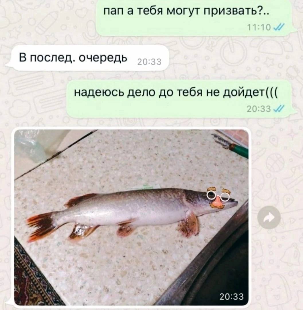 пап а тебя могут призвать?.. В послед. очередь надеюсь дело до тебя не дойдет(((