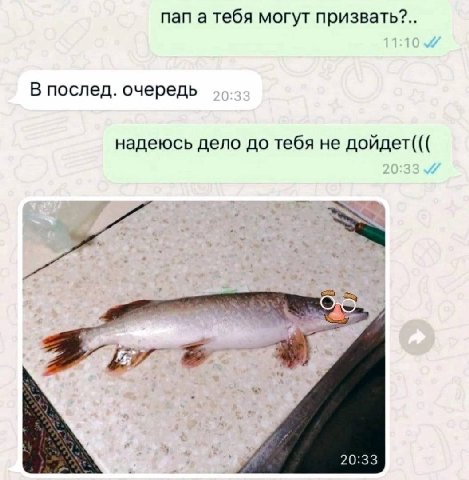 пап а тебя могут призвать?.. В послед. очередь надеюсь дело до тебя не дойдет(((
