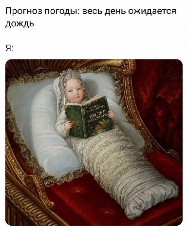 Прогноз погоды: весь день ожидается дождь я: 295