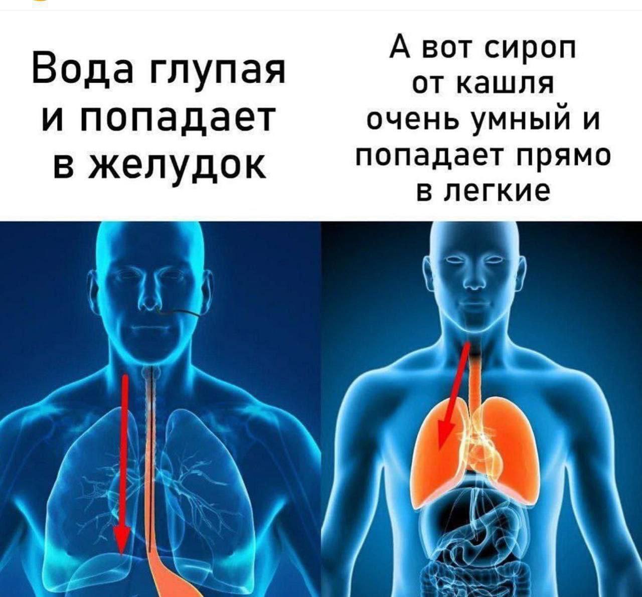 В А вот сироп ода глупая от кашля и попадает очень умный и В желудок попадает прямо в легкие