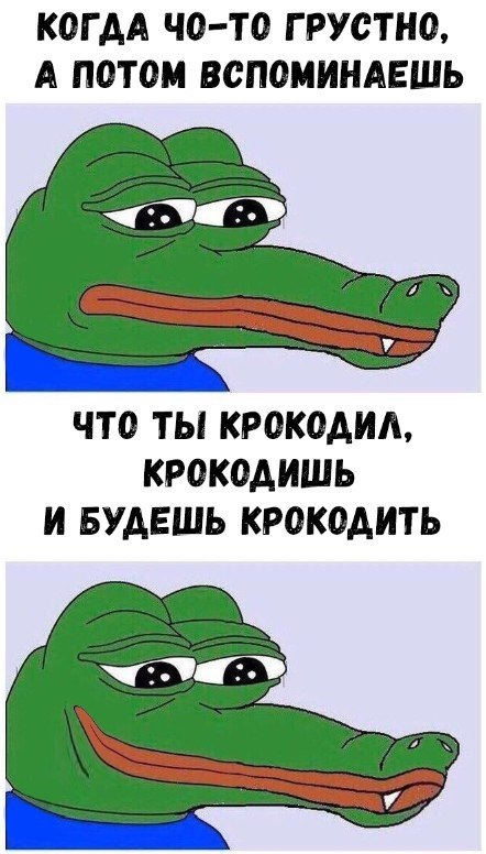 КОГДА ЧО-ТО ГРУСТНО, А ПОТОМ ВСПОМИНАЕШЬ ЧТО ТЫ КРОКОДИЛ, КРОКОДИШЬ И БУДЕШЬ КРОКОДИТЬ