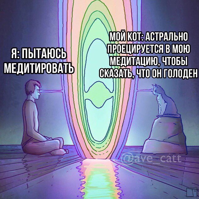 1 И КОТ: АСТРАЛЬНО Я: ПЫТАЮСЬ: ПРОЕЦИРУЕТСЯ В МОЮ МЕДИТАЦИЮ, ЧТОБЫ МЕДИТИРОВАТЬ Что ГОЛОДЕН