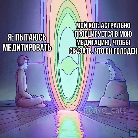 1 И КОТ: АСТРАЛЬНО Я: ПЫТАЮСЬ: ПРОЕЦИРУЕТСЯ В МОЮ МЕДИТАЦИЮ, ЧТОБЫ МЕДИТИРОВАТЬ Что ГОЛОДЕН