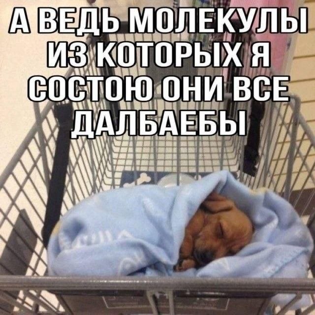 МОЛЕКУЛЫ ИЗ'КОТОРЫХ Я ОНИ ВСЕ