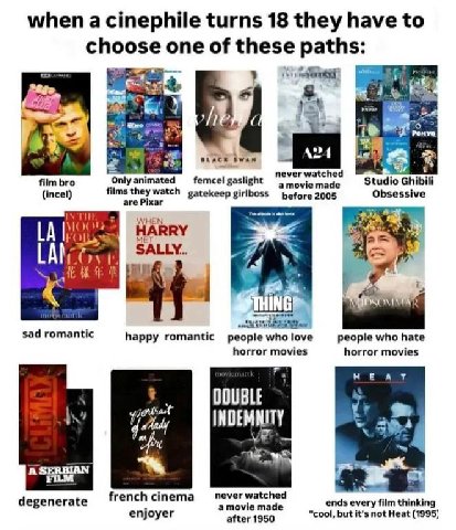when a cinephile turns 18 they have to choose one of these paths: reve 2 wry never watched film bro Only animated femcel gaslight amovie made Studio Ghibili (incel) films gatekeep girlboss before 2005