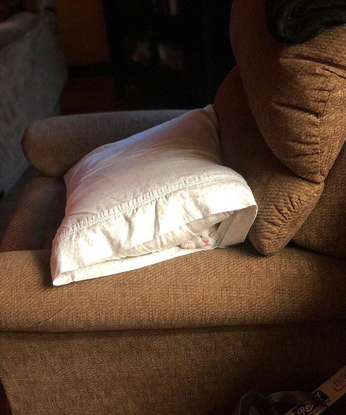 А