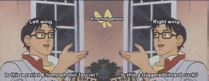 А normalperson Left wing Right wing homophobic fascist? Is this a triggered libtard:cuck?