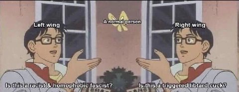 А normalperson Left wing Right wing homophobic fascist? Is this a triggered libtard:cuck?