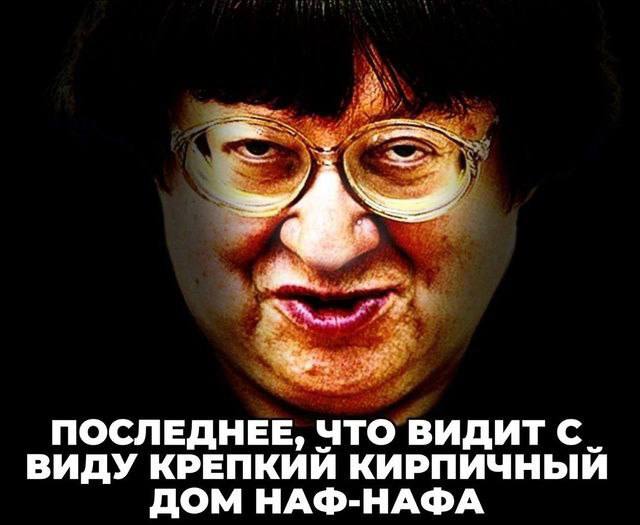 ПОСЛЕДНЕЕ, ЧТО ВИДИТ С ВИДУ КРЕПКИЙ КИРПИЧНЫЙ ДОМ НАФ-НАФА
