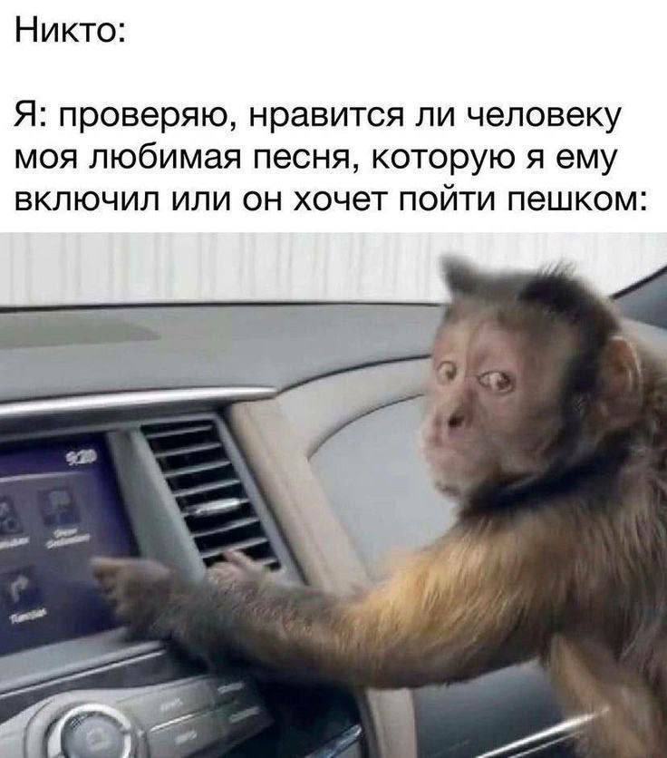Никто: Я: проверяю, нравится ли человеку моя любимая песня, которую я ему включил или он хочет пойти пешком
