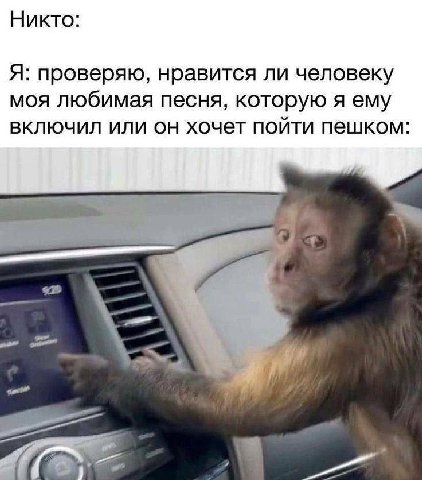 Никто: Я: проверяю, нравится ли человеку моя любимая песня, которую я ему включил или он хочет пойти пешком