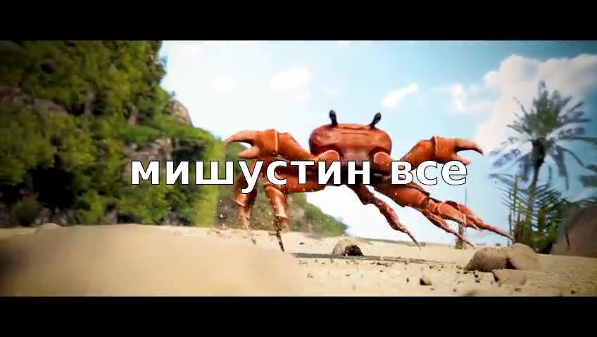 мишустин Beer ^