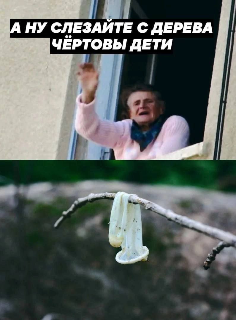 4 ЗА НУ СЛЕЗАИТЕ С ДЕРЕВА ЧЕРТОВЫ ДЕТИ 4