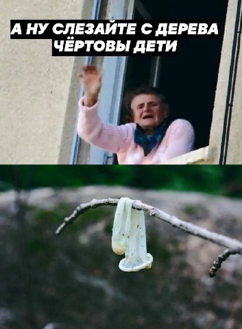 4 ЗА НУ СЛЕЗАИТЕ С ДЕРЕВА ЧЕРТОВЫ ДЕТИ 4
