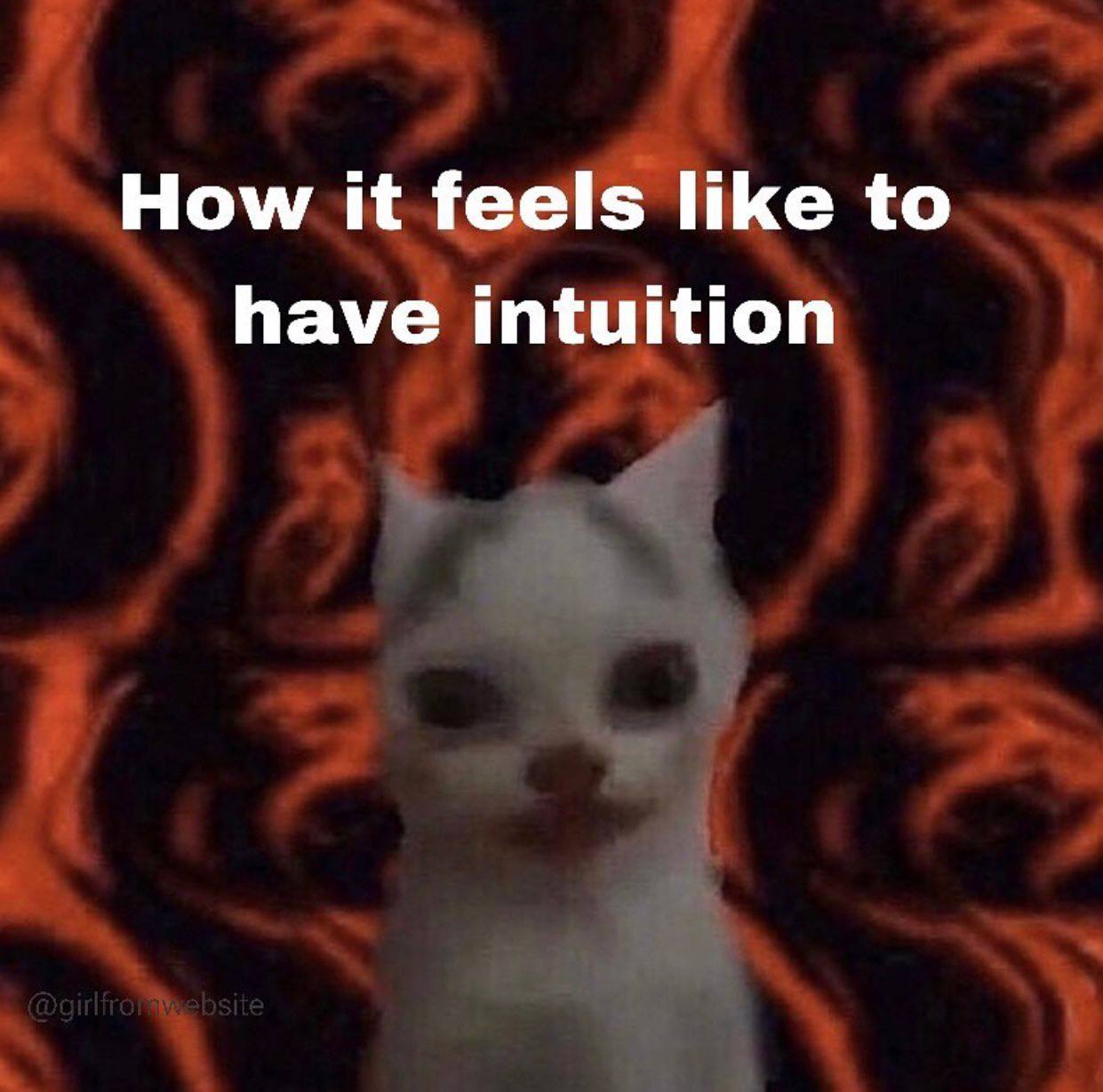 How it feels like to have intuition