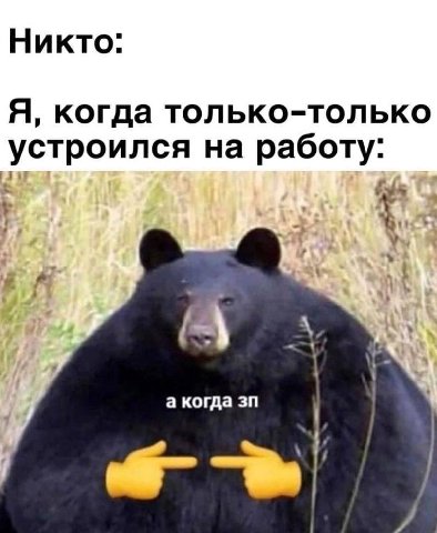 Никто: Я, когда только-только устроился на работу: а когда