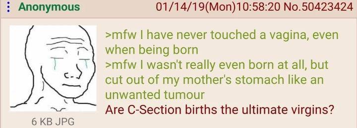 Anonymous 01/14/19(Mon)10:58:20 No.50423424 never touched a vagina, even when being born >mfw wasn't really even born at all, but cut out of my mother's stomach like an unwanted tumour Are C-Section b