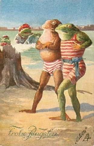 It is Wednesday my dudes 🐸