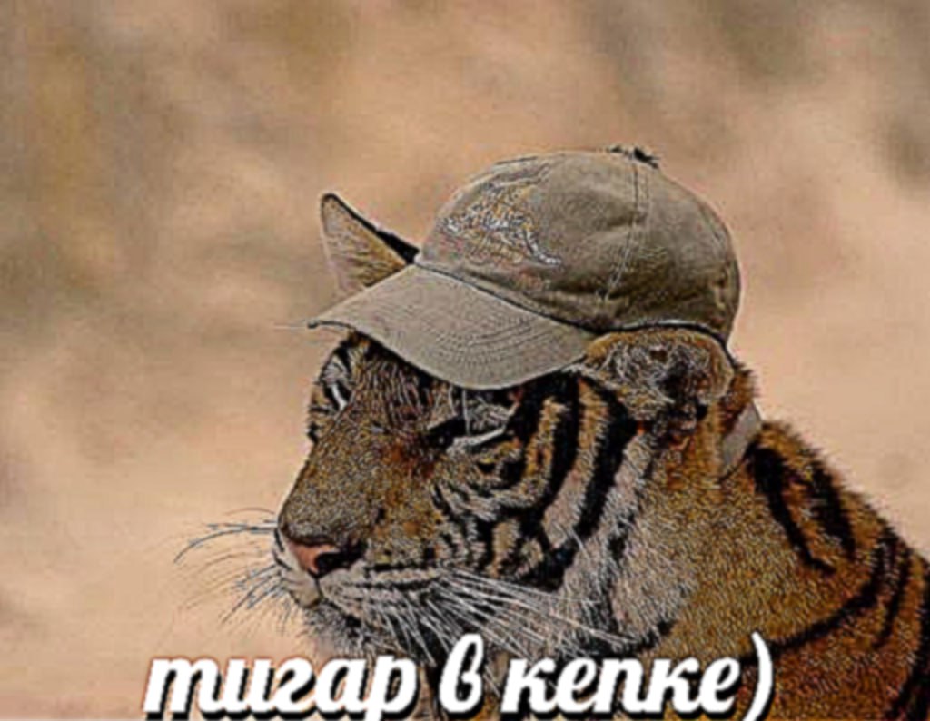 muzap 6 кепке)