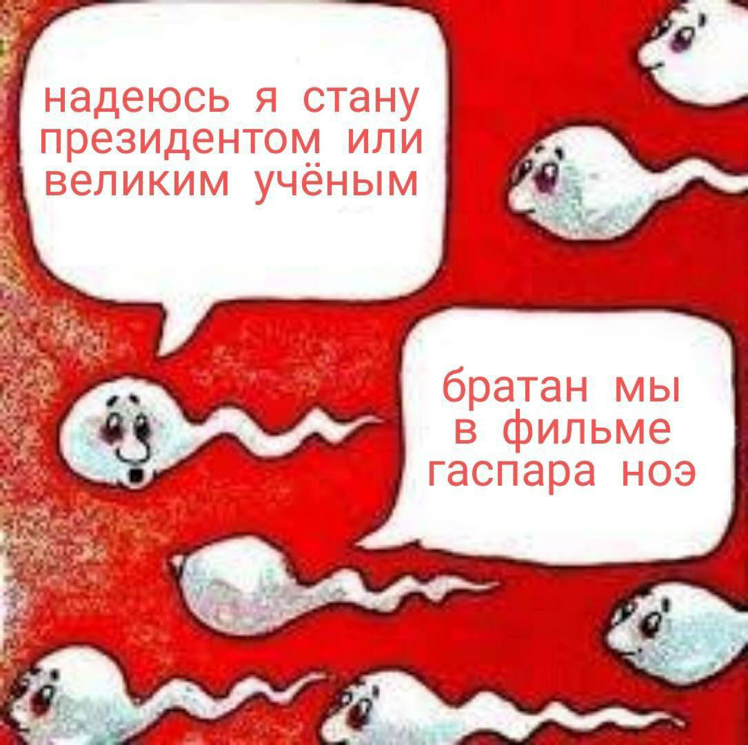 4 надеюсь я стану президентом или великим учёным братан мы в фильме гаспара ноэ