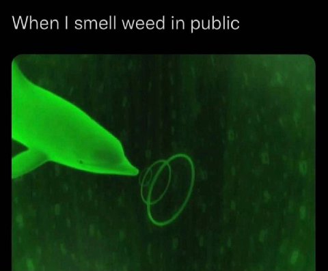When smell weed in public