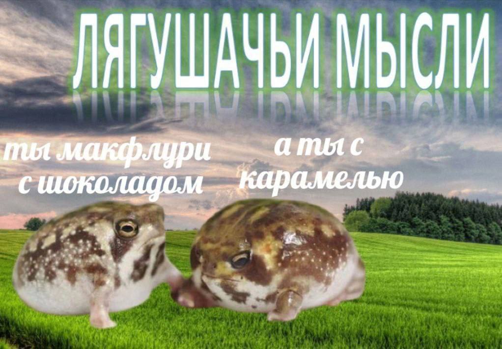 МЫСЛИ 9 с шоколадом