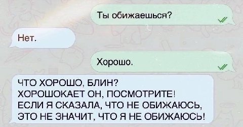 Ты обижаешься? Нет. Хорошо. ЧТО ХОРОШО, БЛИН? ХОРОШОКАЕТ ОН, ПОСМОТРИТЕ! ЕСЛИ Я СКАЗАЛА, ЧТО НЕ ОБИЖАЮСЬ, ЭТО НЕ ЗНАЧИТ, ЧТО Я НЕ ОБИЖАЮСЬ!