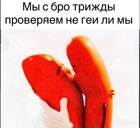 Мы с бро трижды проверяем не геи ли мы