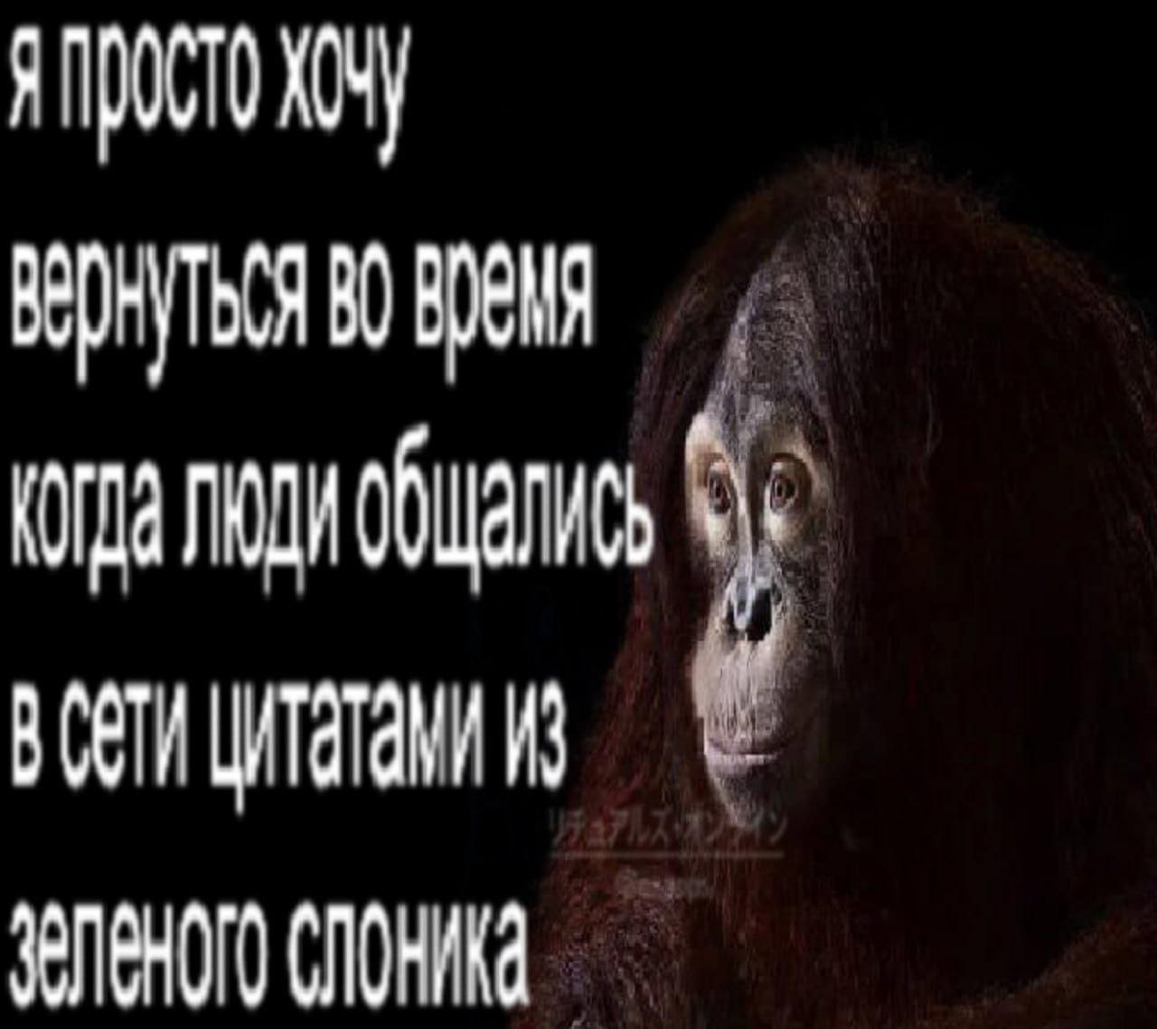 хочу