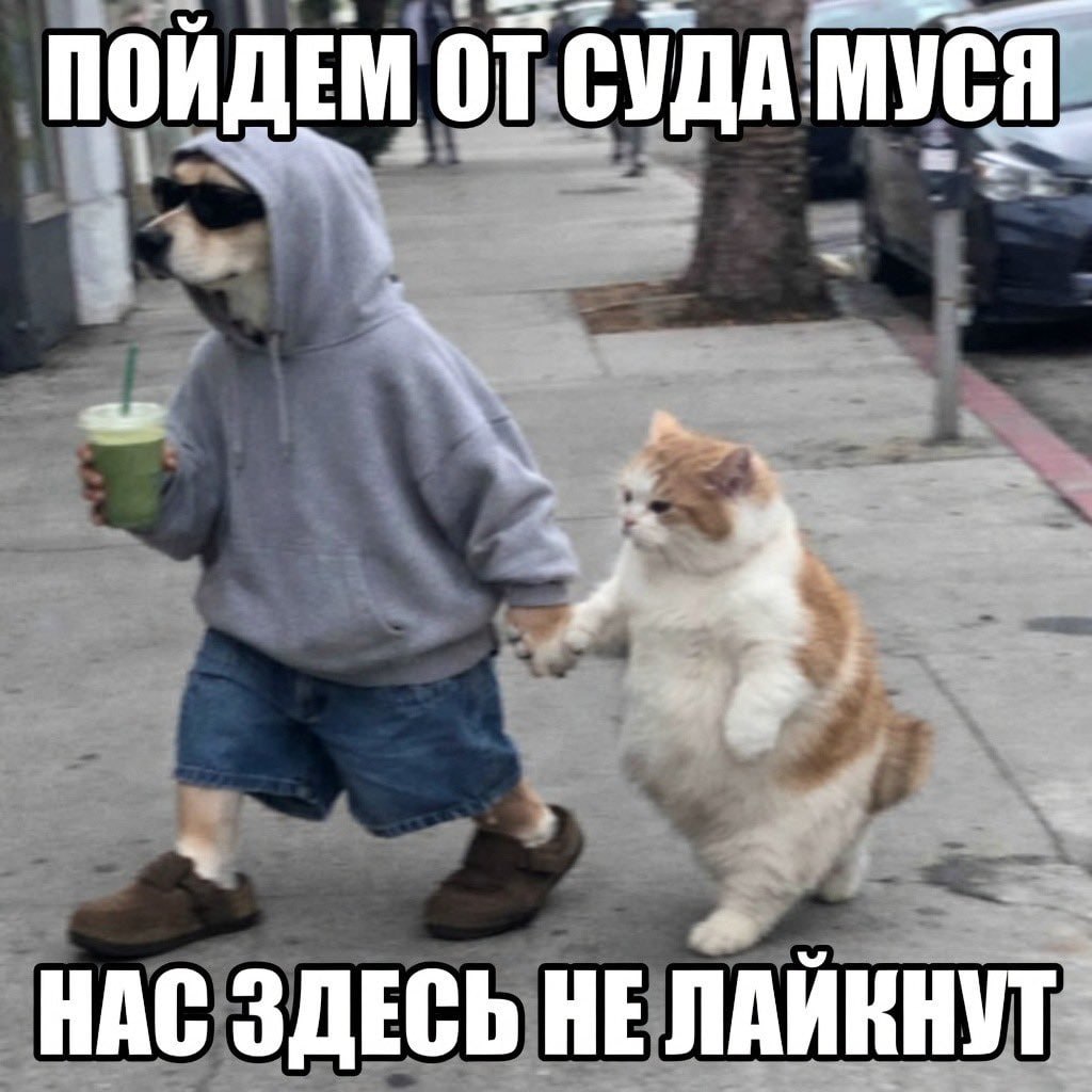 ПОЙДЕМ ОТ СУДА МУСЯ. 4 a НАС ЗДЕСЬ HE ЛАЙКНУТ