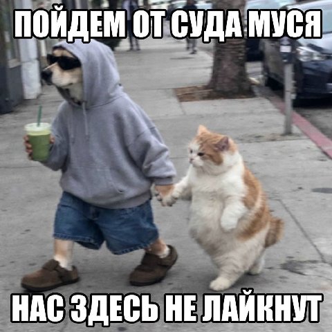 ПОЙДЕМ ОТ СУДА МУСЯ. 4 a НАС ЗДЕСЬ HE ЛАЙКНУТ