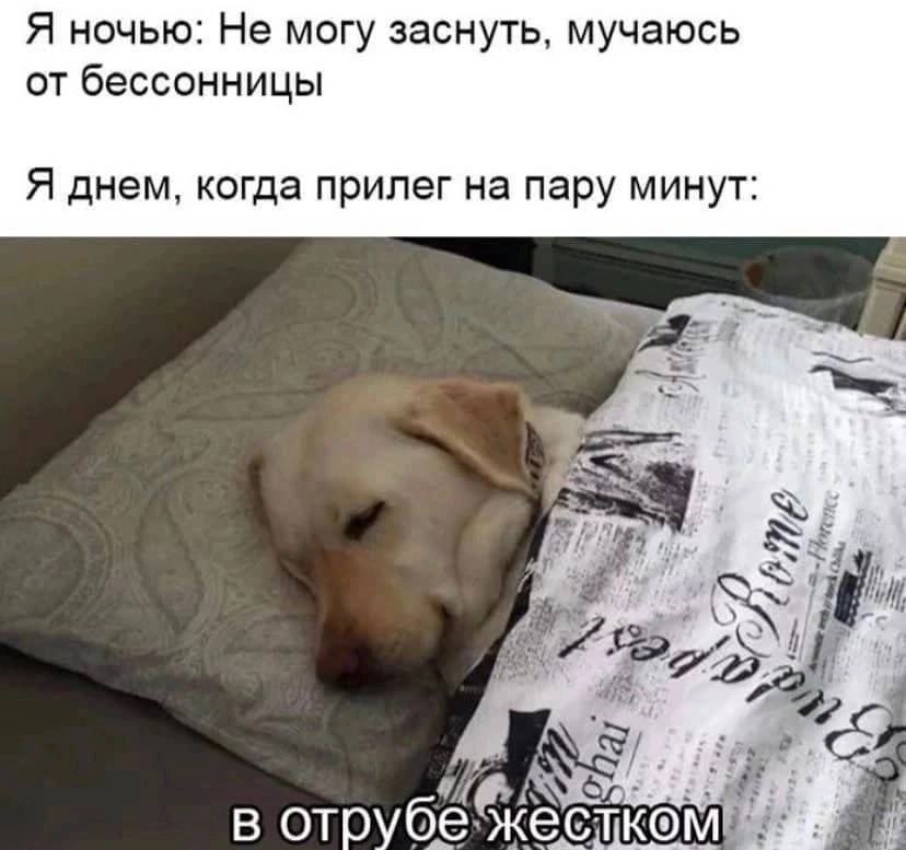 Я ночью: Не могу заснуть, мучаюсь от бессонницы Я днем, когда прилег на пару минут: +4 1 AS, в КОМ