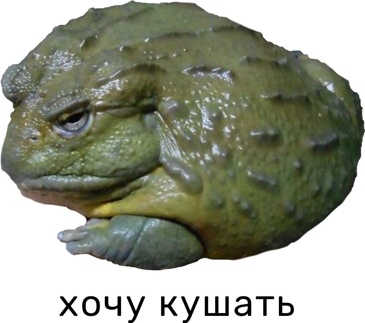 a я 2 к tin 2
