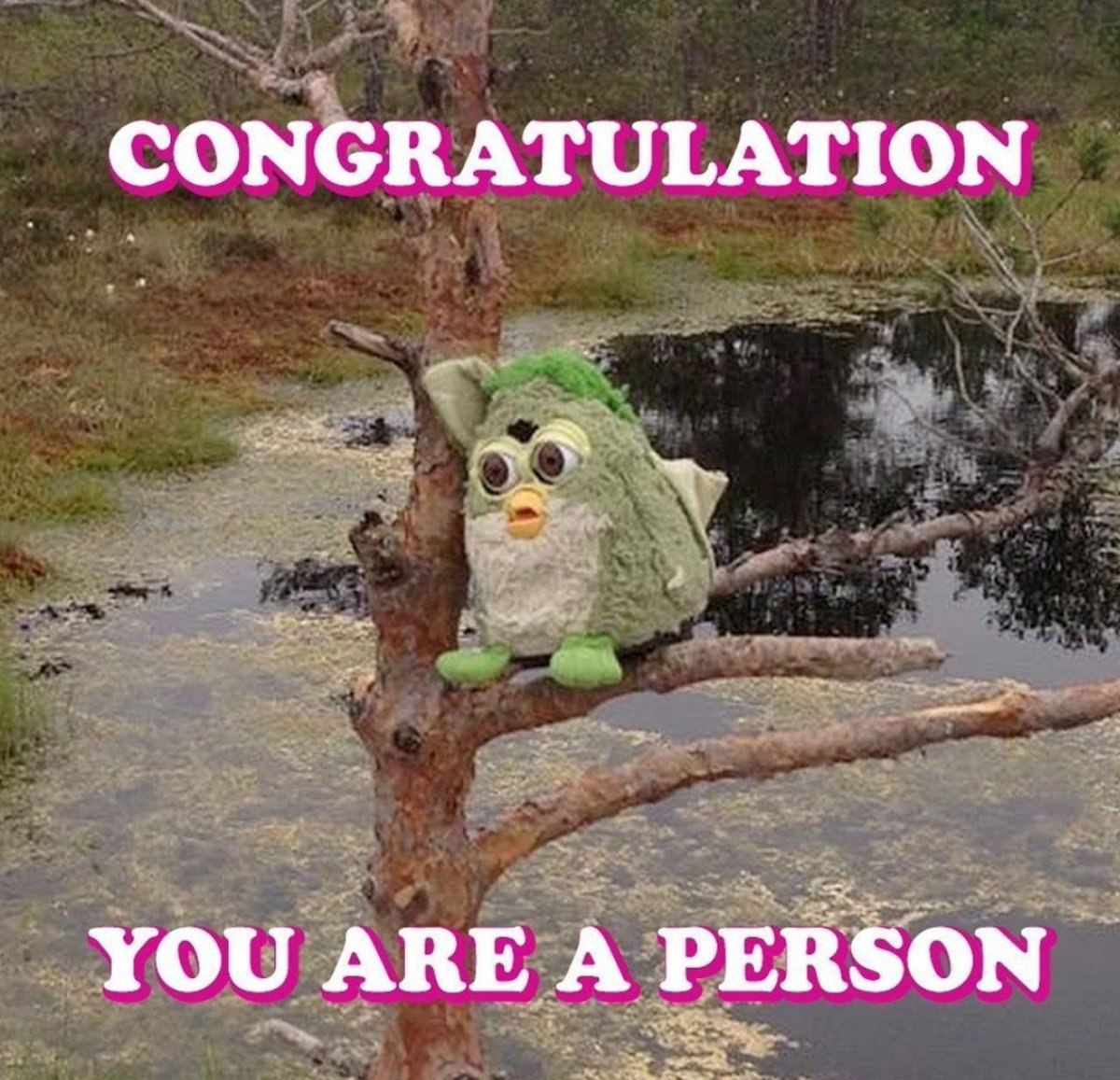 СОМСКАТОГАТТОМ You ARE A PERSON
