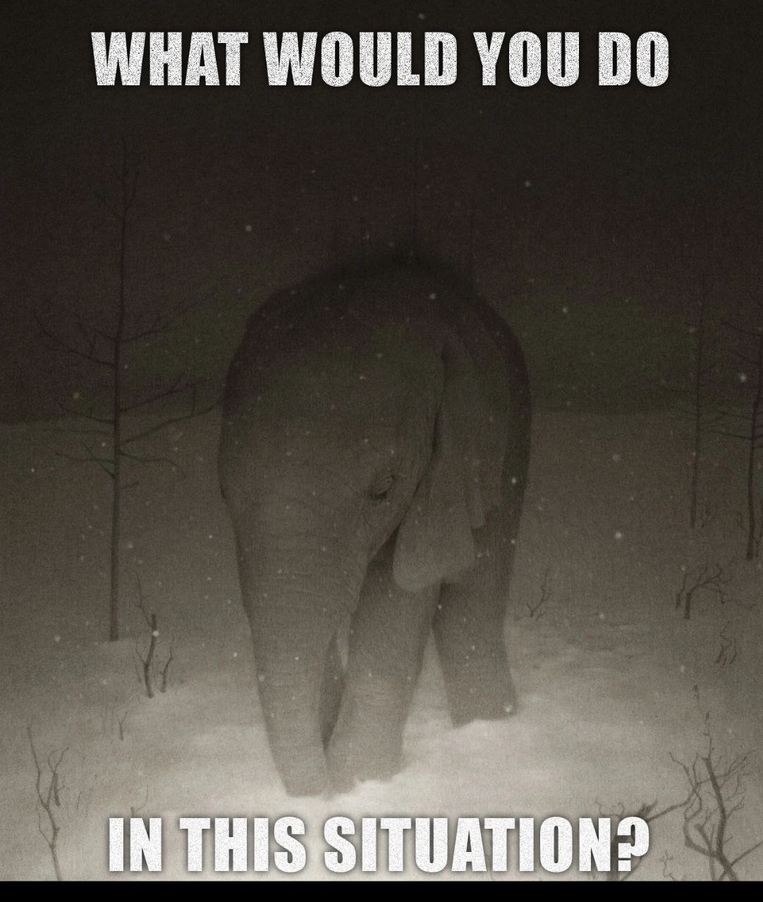 IN
