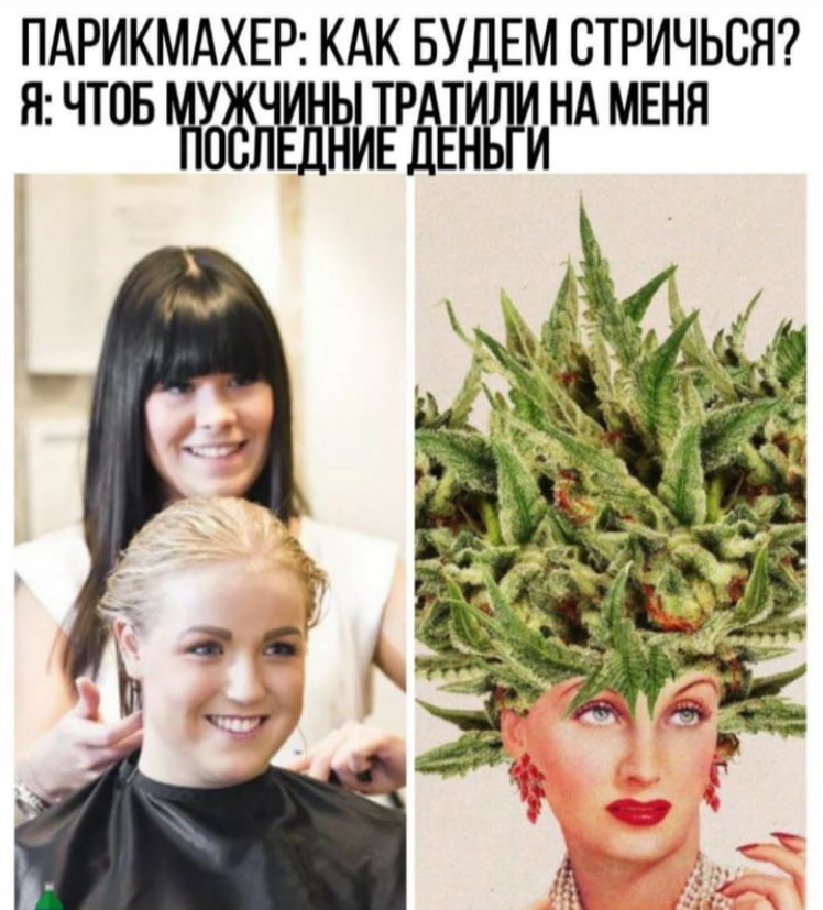 ПАРИКМАХЕР: КАК БУДЕМ СТРИЧЬСЯ? Я: ЧТОБ НА МЕНЯ