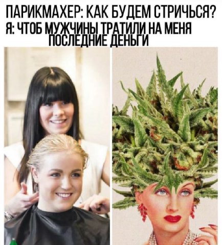 ПАРИКМАХЕР: КАК БУДЕМ СТРИЧЬСЯ? Я: ЧТОБ НА МЕНЯ