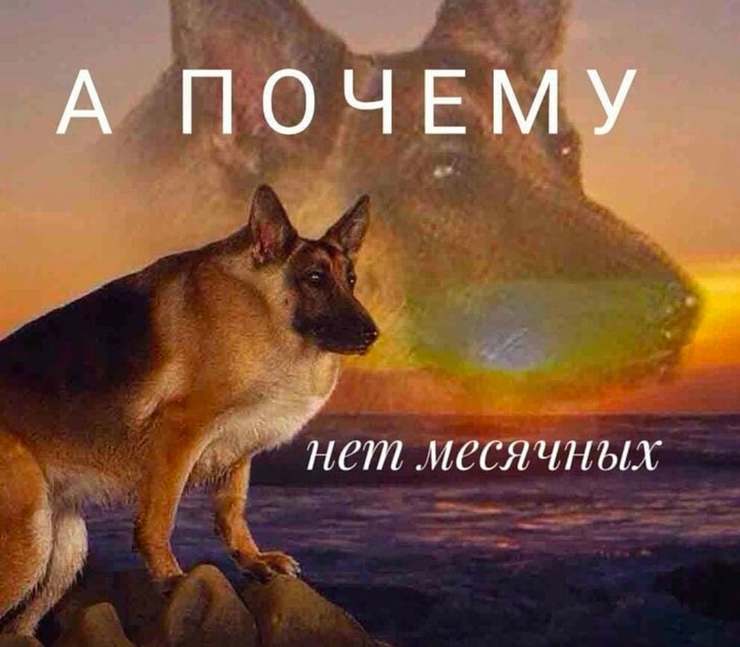 А ПОЧЕМУ месячных